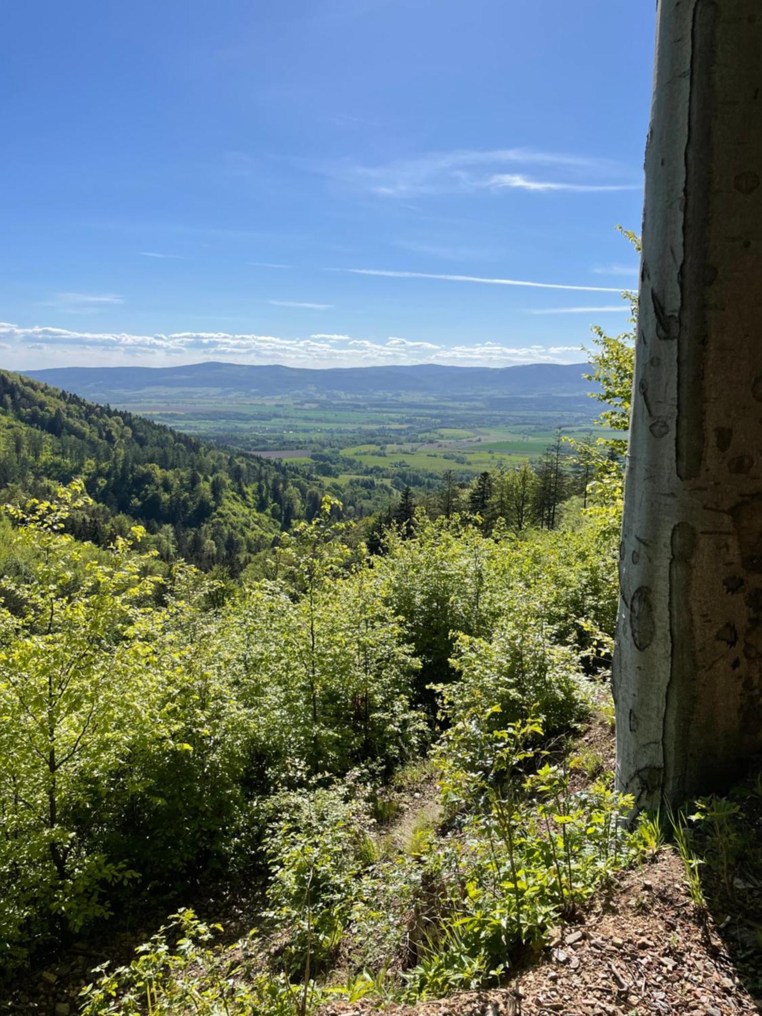Swierkowy Zakatek Idzikow Luaran gambar